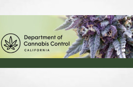 Alert: Governor’s revised 2025-26 budget prioritizes illicit cannabis enforcement and avoids increased costs for licensees